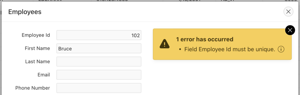 Custom error handling in Oracle Apex.